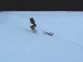 Two Naked Teens Having Fun In The Snow