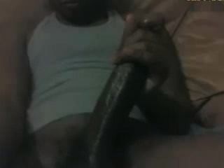 Black Big Dick Cam 1026