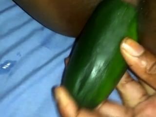 Cucumber On Anal